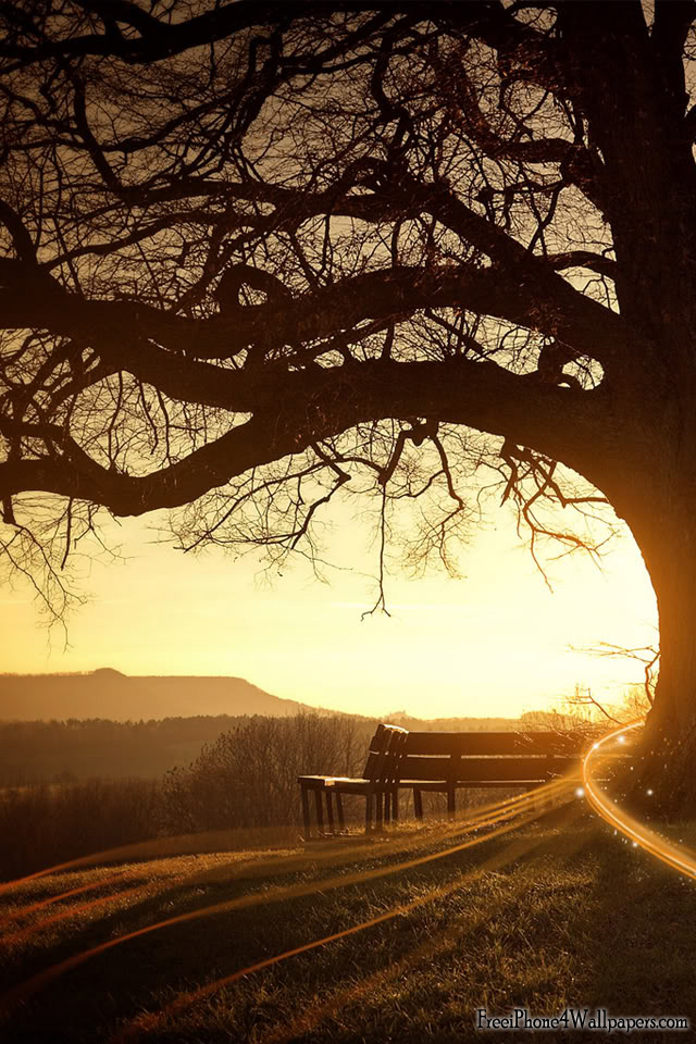 For download clik >save