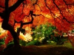 Beautiful-Autumn-1600x900-hdwallpapers.us e1