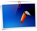 Animal 0077