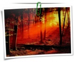 Nature 0030