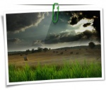 Nature 0036