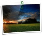 Nature 0043
