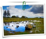 Nature 0073