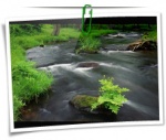 Nature 0084